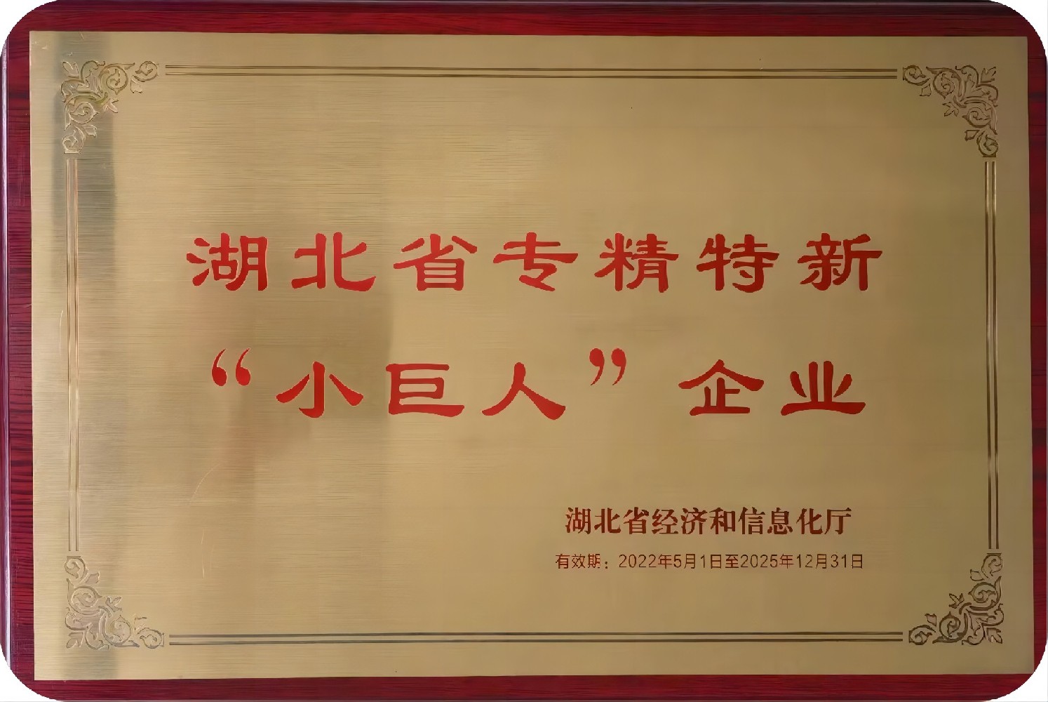 圖片5.jpg